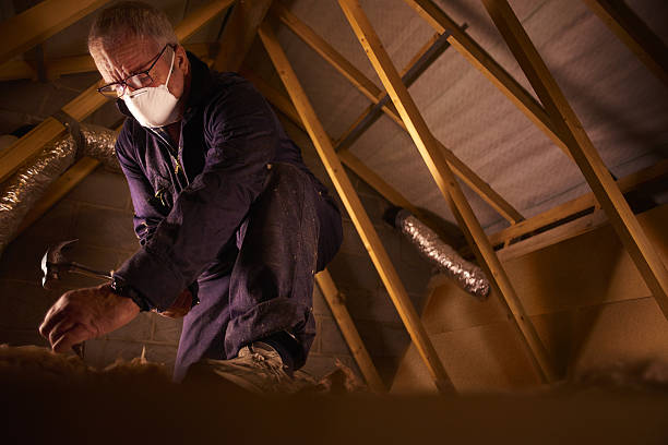 Best Fiberglass Insulation in Westworth Village, TX