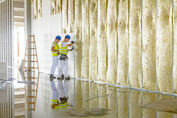 Best Cellulose Insulation in Westworth Village, TX